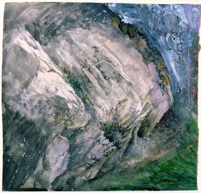 Klipper og vegetation ved Chamouni, 1854 af John Ruskin