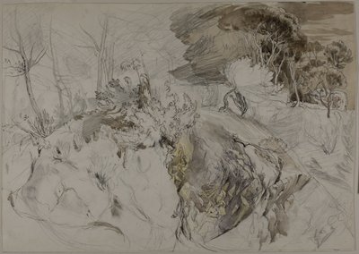 Buske og træer i klippelandskab af John Ruskin