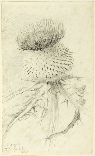 St. Cergues af John Ruskin