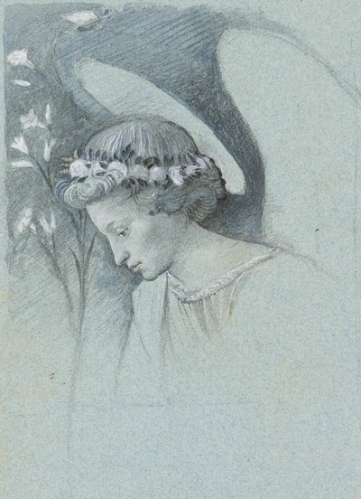 Studie af englen Gabriels hoved i Filippo Lippis 