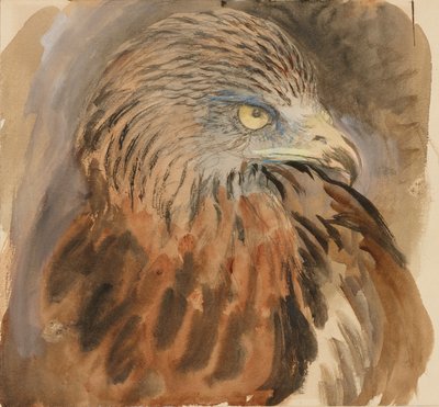 Dragehovedet, fra livet, 30. august - 1. september 1870. af John Ruskin