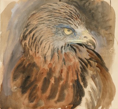 Dragehovedet, fra livet, 30. august - 1. september 1870. af John Ruskin