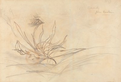 The Rocky Bank of a River af John Ruskin