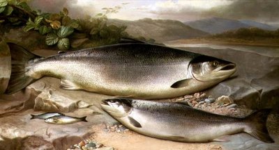 Fisk Stilleben af John Russell