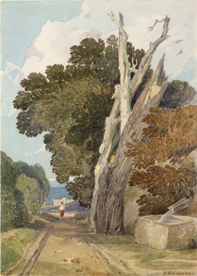 Et spansk kastanjetræ ramt af lynet (wc & blyant på papir) af John Sell Cotman