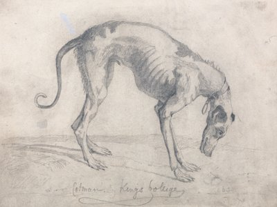 En udsultet greyhound af John Sell Cotman