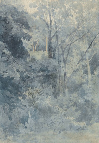 I Rokeby Park af John Sell Cotman