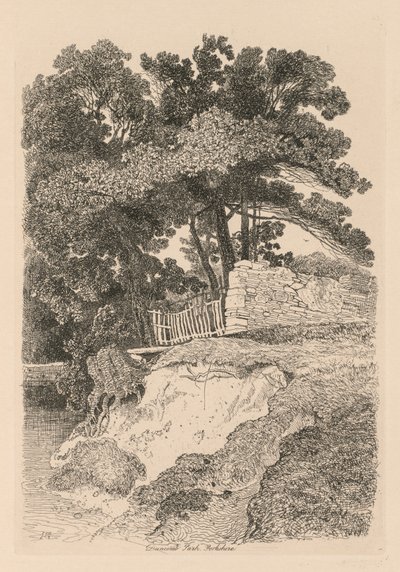 Liber Studiorum: Plade 13, Duncomb Park, Yorkshire: nr. 5, 1838. af John Sell Cotman
