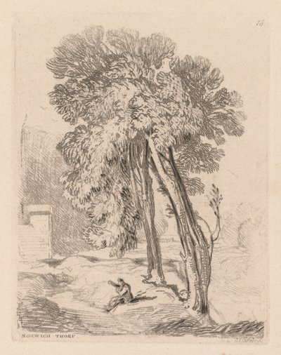 Liber Studiorum: Plade 18, Trees at Norwich Thorp, Norfolk af John Sell Cotman