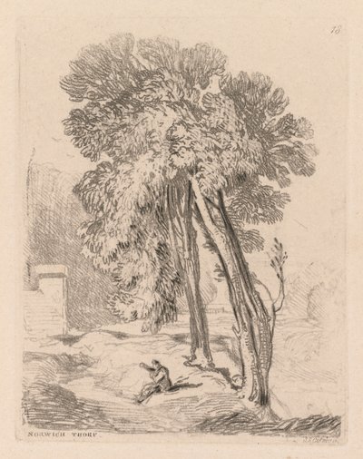 Liber Studiorum: Plade 18, Trees at Norwich Thorp, Norfolk, 1838. af John Sell Cotman