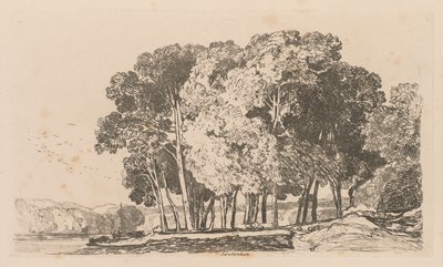 Liber Studiorum: Plade 3, Træer nær Twickenham af John Sell Cotman