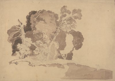 Undersøgelse af træer af John Sell Cotman