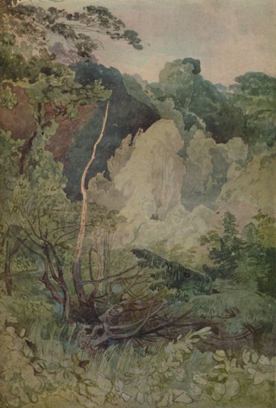 Træer nær Greta-floden, 1923 af John Sell Cotman