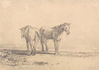 To gamle heste står på en mark af John Sell Cotman