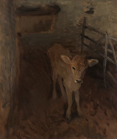 En Jerseykalv af John Singer Sargent