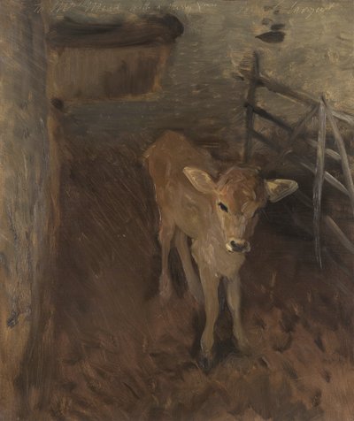 En Jerseykalv, 1893 af John Singer Sargent