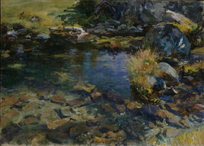 Alpine Pool, 1907 af John Singer Sargent