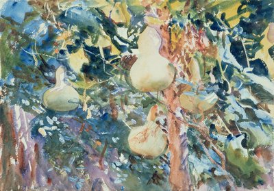 Kalebasser, ca. 1905 (wc på papir) af John Singer Sargent