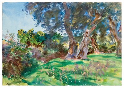 Oliventræer, Korfu af John Singer Sargent