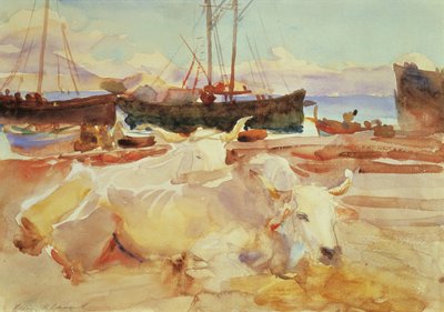 Okser på stranden ved Baia, ca. 1908 (wc på papir) af John Singer Sargent