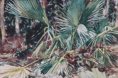 Palmettos, 1917 (wc, grafit og voksblyant på hvidt vævet papir) af John Singer Sargent