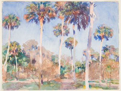 Palms, 1917 (wc over grafit på papir) af John Singer Sargent
