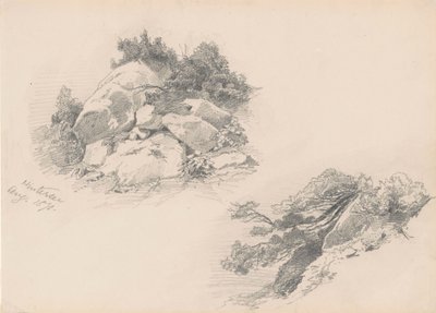 Rocks and Brush, Hintersee, Tyskland, 1871 (grafit på vævet papir) af John Singer Sargent