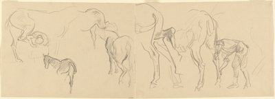 Studier til skoning af Calvary-heste ved fronten [recto], 1918. af John Singer Sargent