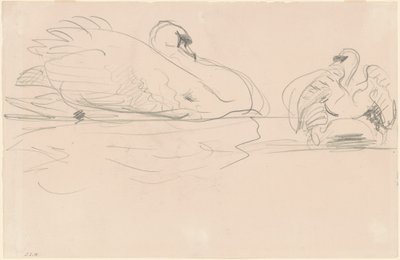 Svaner i vandet, 1880-1900. af John Singer Sargent