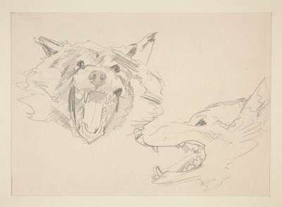To udsigter af en ulv af John Singer Sargent
