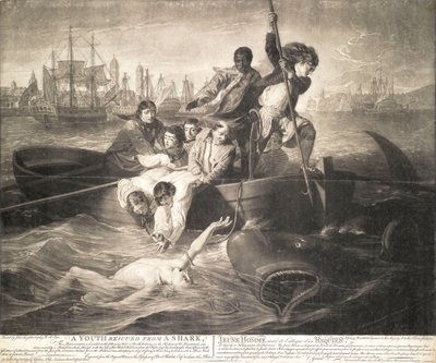 En ung mand reddet fra en haj af John Singleton (after) Copley