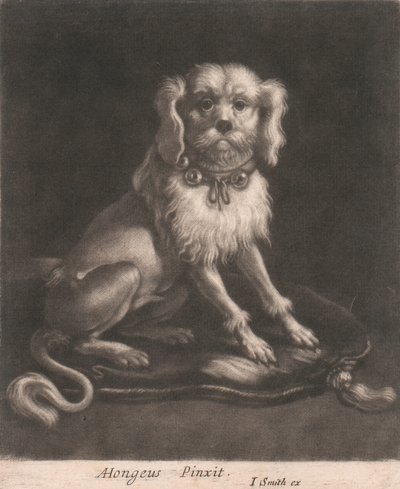 En lille hund iført halsbånd. af John Smith