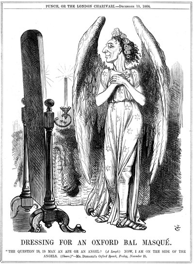 Benjamin Disraeli, britisk konservativ, tegneserie fra Punch, 1864 af John Tenniel