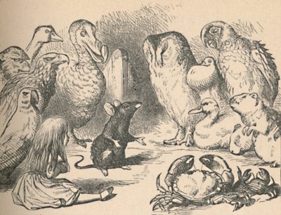 Illustration til kapitlet et Caucus-Race og en lang hale. Alice og forskellige væsner, som f.eks af John Tenniel