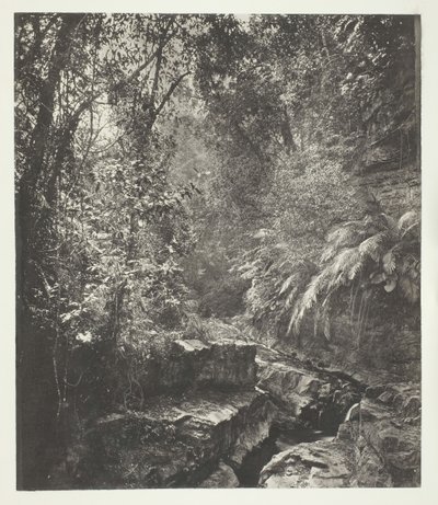 Et bjergpas i Formosa, ca. 1868. af John Thomson