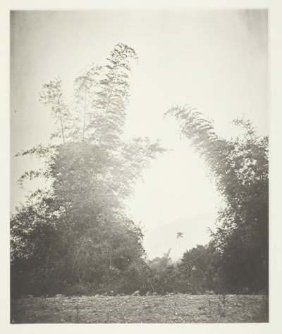 Bambus og Baska, Formosa, ca. 1868. af John Thomson