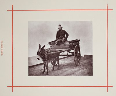 Black Jack, 1877. af John Thomson