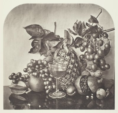 Frugt af John Thomson