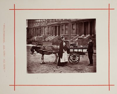 Jordbær. Alle modne! Helt moden!, 1877. af John Thomson