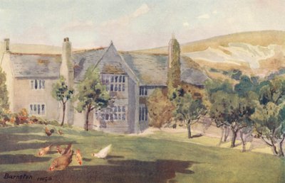 Barnston (farvelitografi) af John W.G. Bond