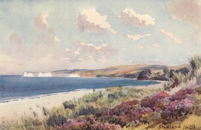 Studland Bay (farvelitografi) af John W.G. Bond