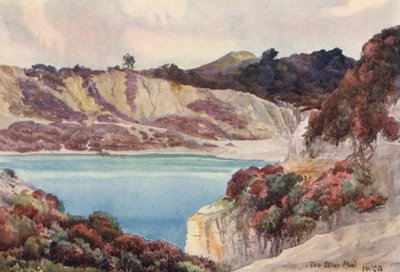 Den blå pool (farvelitografi) af John W.G. Bond