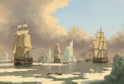 The Northern Whale Fishery: The Swan and Isabella, ca. 1840. af John Ward I