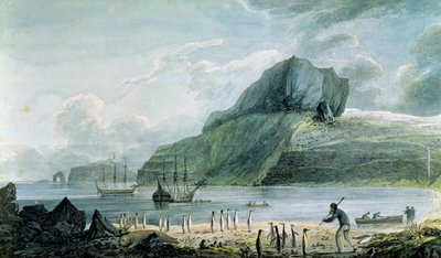Udsigt over Christmas Harbour i Kerguelen