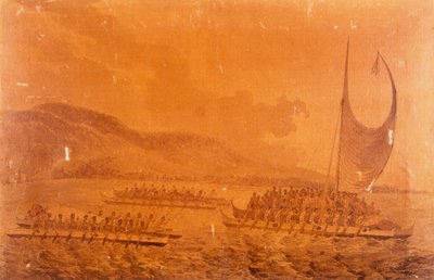 Kanoer skal møde kaptajn James Cook af John Webber