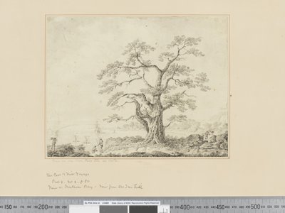 F.44 Udsigt på havkysten, stort træ i midten, ca. 1783-84 af John Webber