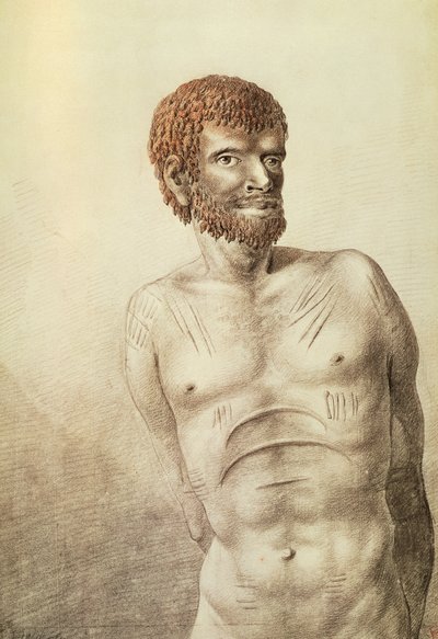 Indfødt af Van Diemens Land, nu Tasmanien, januar 1777, tegning af John Webber (1750-1793) Australien af John Webber