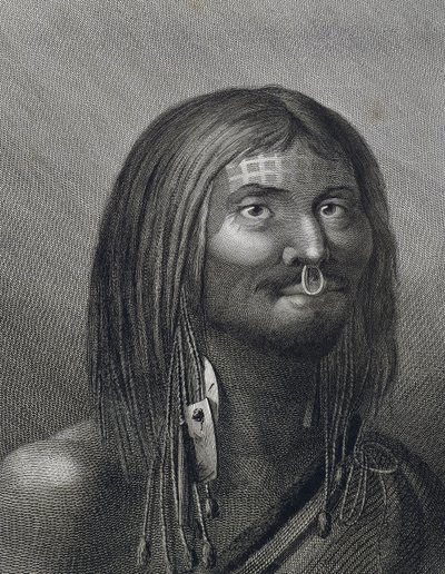Polynesisk mand fra Nootka Sound, illustration af John Webber (1752-1793) lavet under tredje rejse (1776-1779) af James Cook (1728-1779), af John Webber
