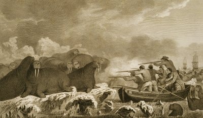 Sea Horses, figurer af J. Heath, indgraveret af E. Scott plade 52 fra 