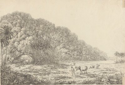 Udsigt på øen Pulo Condore af John Webber